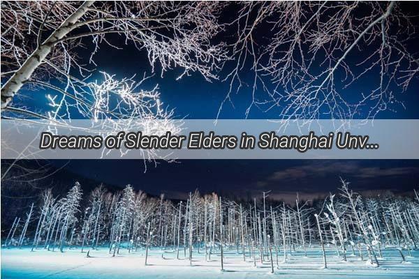 Dreams of Slender Elders in Shanghai Unveiling the Mystique of the Citys Ephemeral Figures